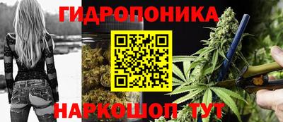 каннабис Камышлов