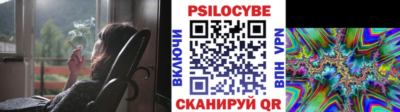 Псилоцибиновые грибы Psilocybine cubensis  Тихорецк 