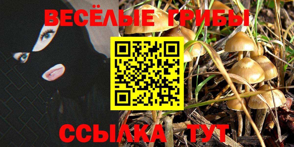 Тихорецк  Галлюциногенные грибы прущие грибы  Галлюциногенные грибы Cubensis  Вход с VPN 